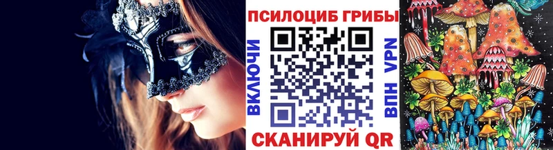 закладки Далматово Галлюциногенные грибы прущие грибы